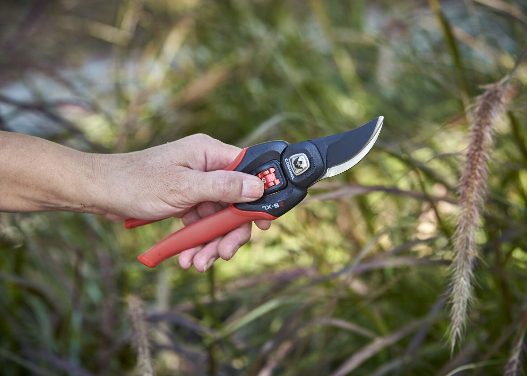Corona Tools